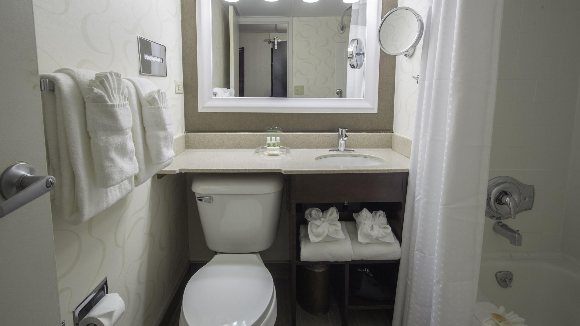 Hotel Wyndham Downtown