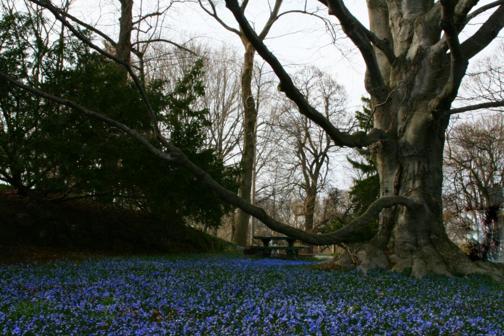 Ellwanger Estate B&B 4* Rochester