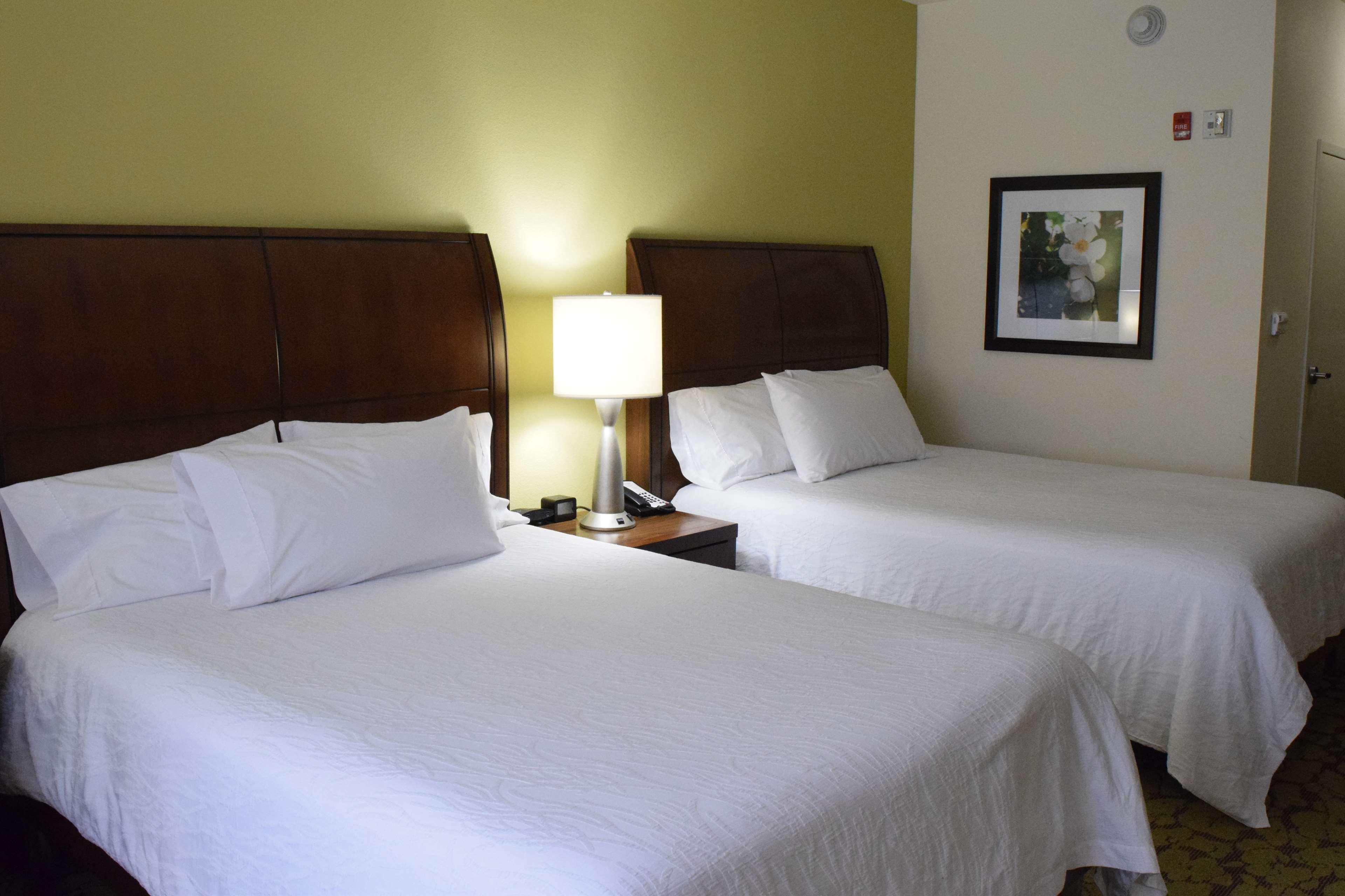 Hilton Garden Downtown, Ny 3* Rochester