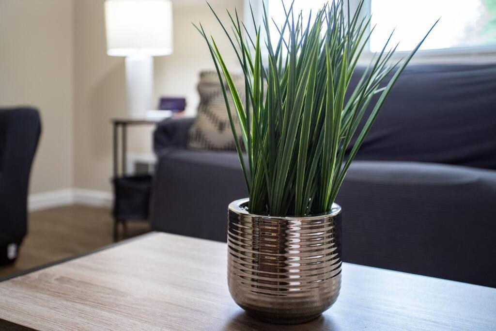 {quiet Suburban Ranch Hot Tub} Mins Arpt/rit/dwnt Rochester