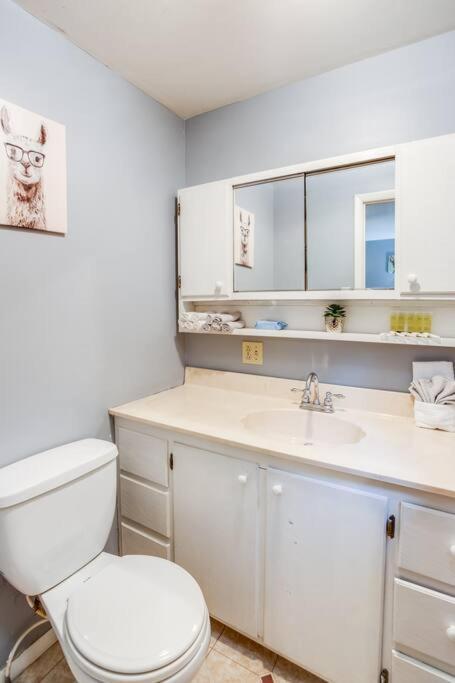 Centric Ranch In The South Ave By Dwtn/uofr/arpt *