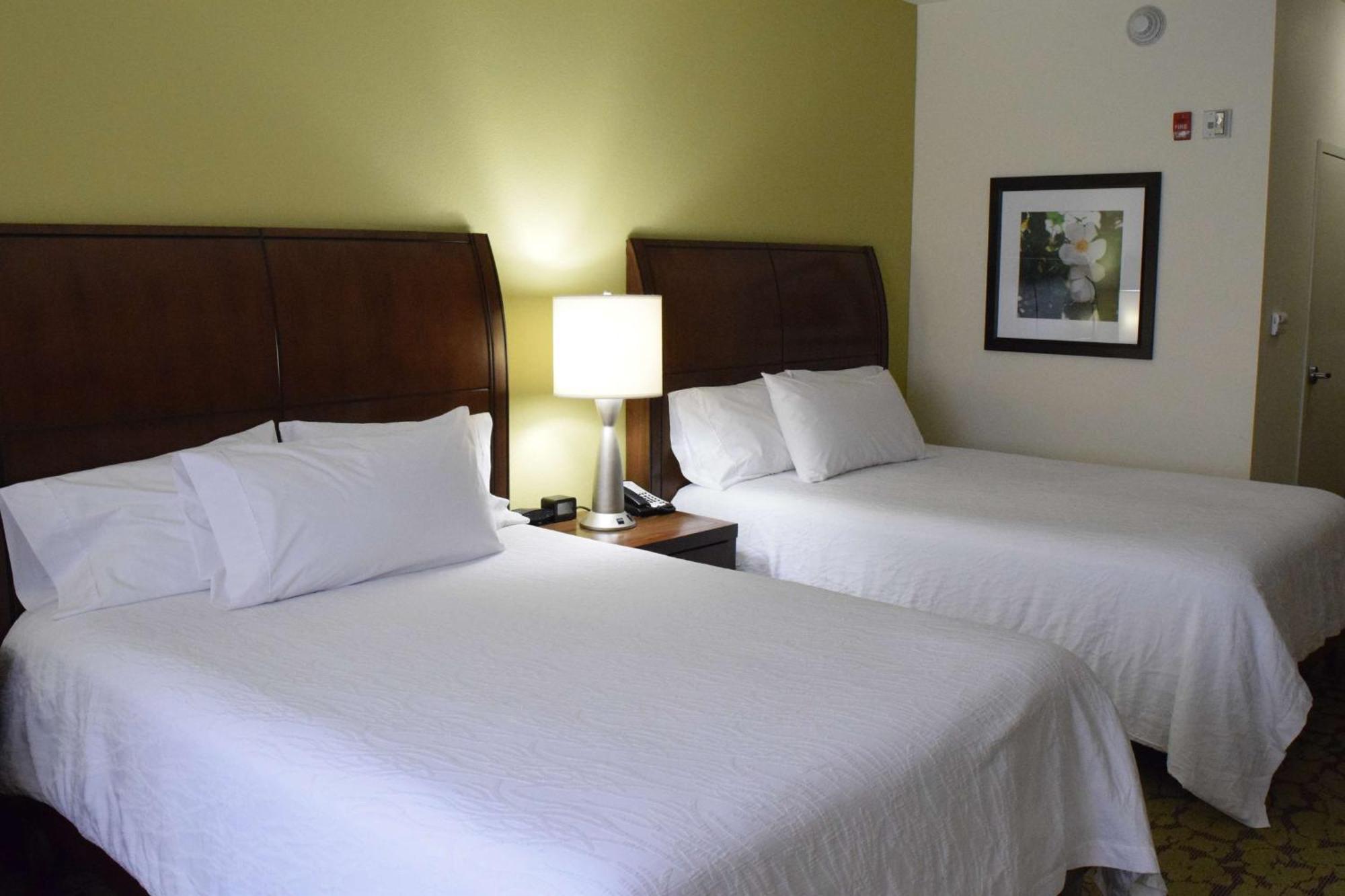 Hilton Garden Downtown, Ny Hotel Rochester