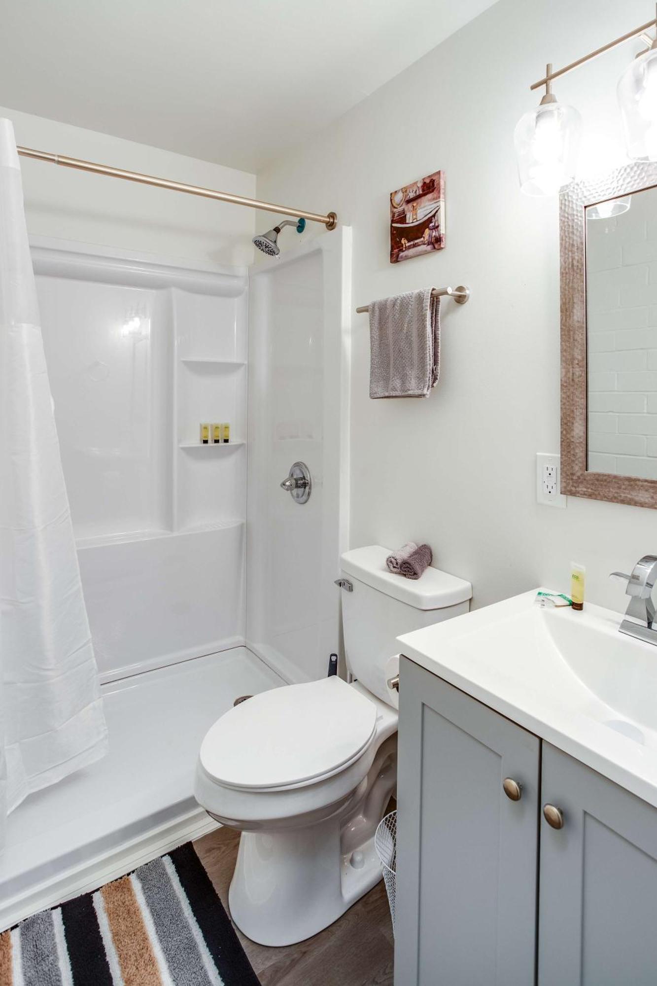 Apartment Newly Renovated Bright Rochester