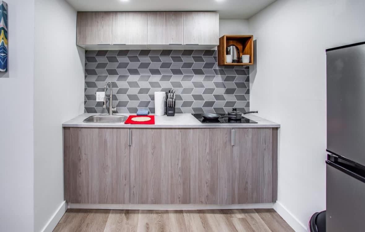 Apartment Newly Renovated Bright Rochester