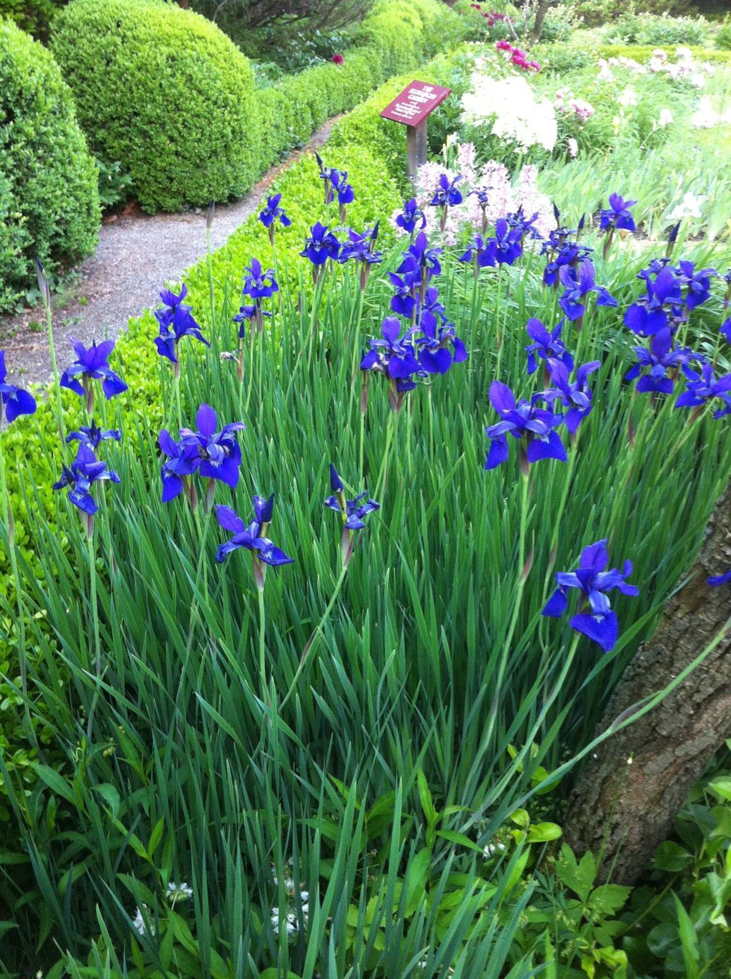 Ellwanger Estate B&B Bed & Breakfast Rochester