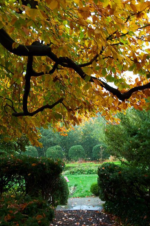 Ellwanger Estate B&B 4* Rochester