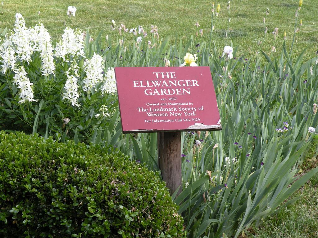 Bed & Breakfast Ellwanger Estate B&B Rochester