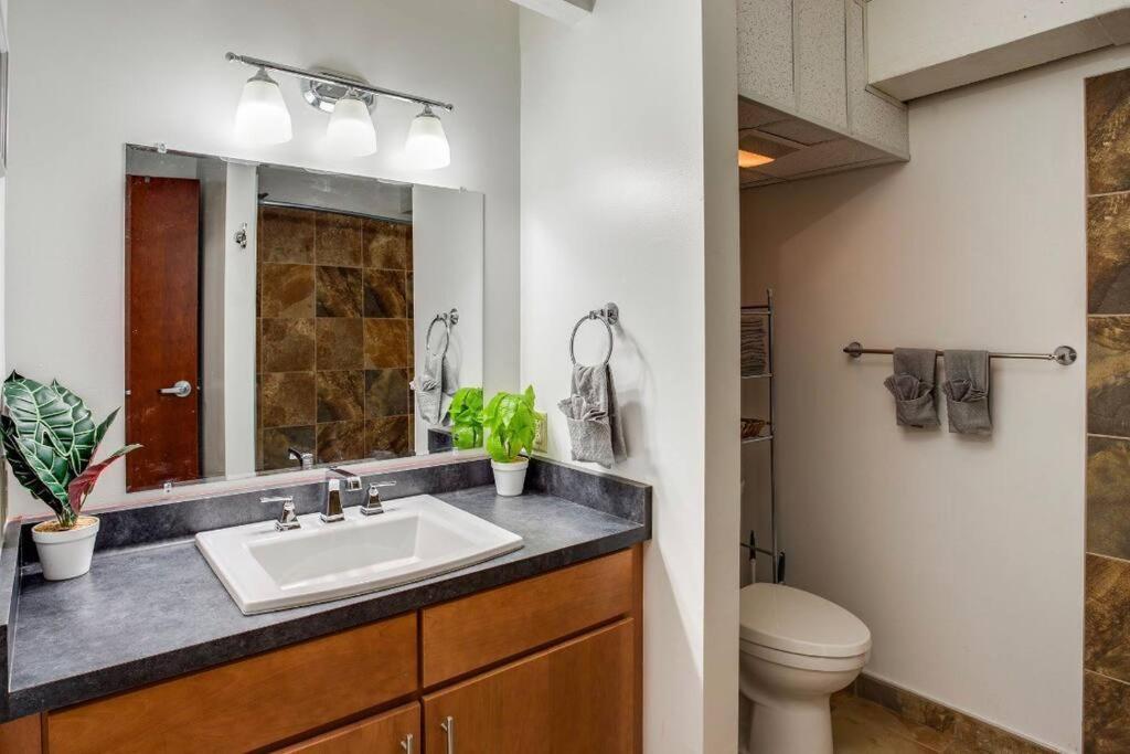 Apartment Centric Modern Loft W/ King Beds Rochester