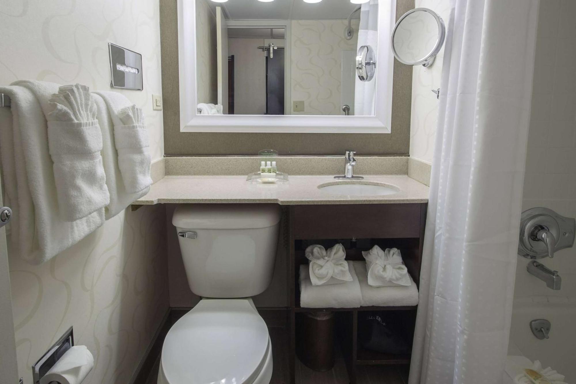 Hotel Wyndham Downtown 3*