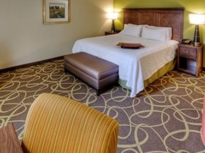 Hotel Hampton & Rochester/henrietta 3*