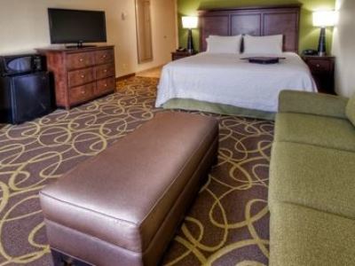 Hotel Hampton & Rochester/henrietta