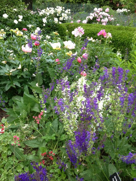 Ellwanger Estate B&B Rochester